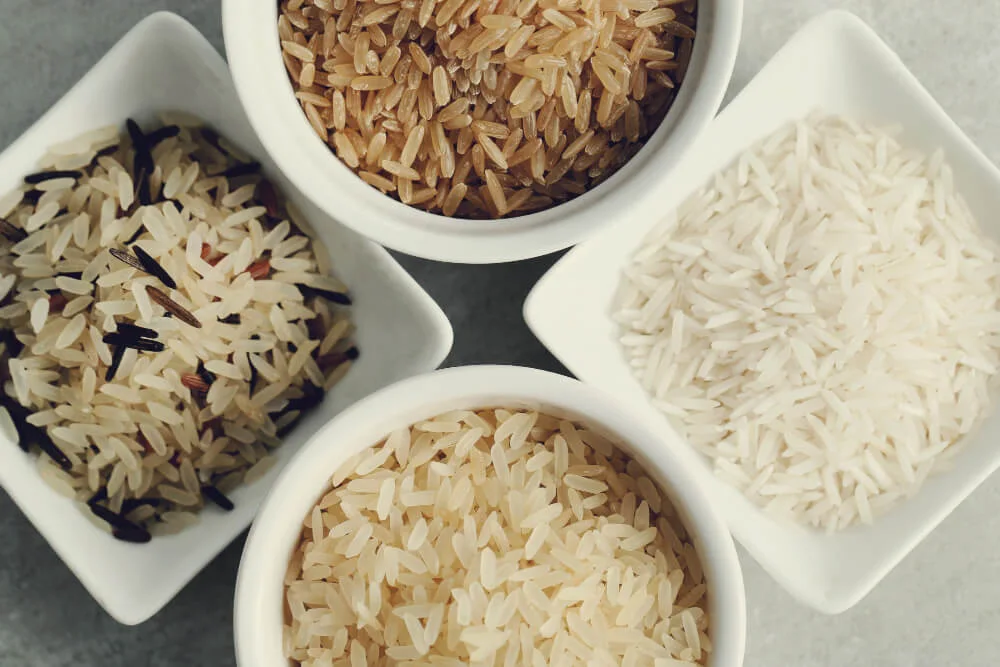4 variétés de riz et leurs protéines