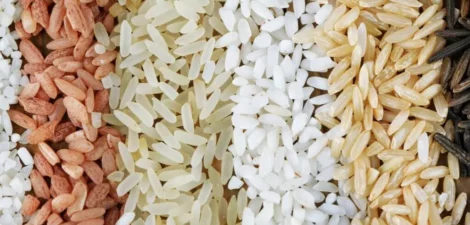 الفرق بين الأرز