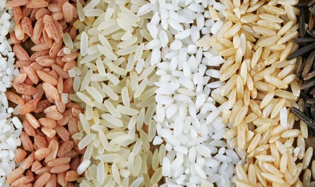 Différents types de riz et leurs calories