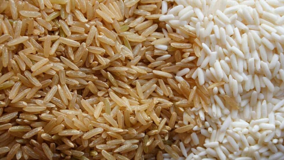 مقارنة الأرز البني بالأبيض