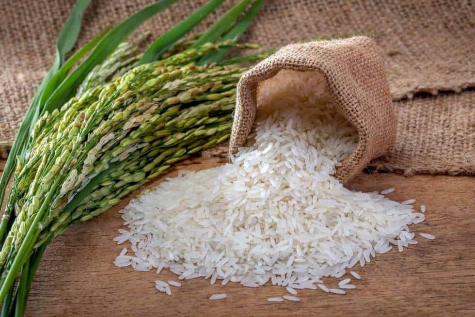 sac de riz et epines de riz: valeur nutritionnelle riz