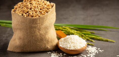 valeur nutritionnelle riz dans toutes ses formes