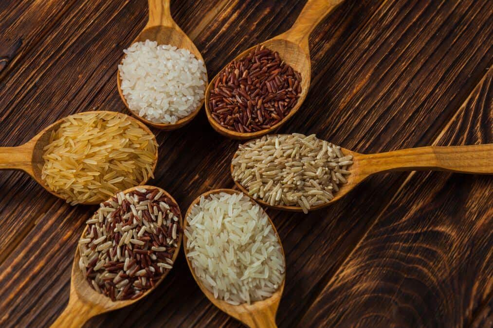 Protéines dans le riz : six différentes variétés
