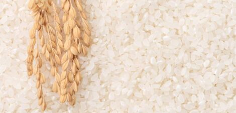 حبوب الأرز