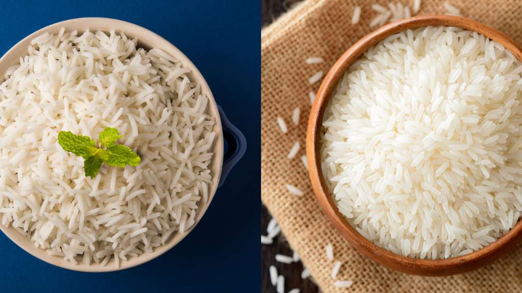 Différences entre les riz : Riz Basmati et le Riz Jasmin 