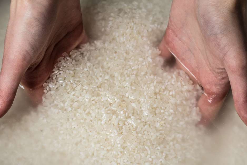 المكونات الأساسية لصنع ماء الأرز