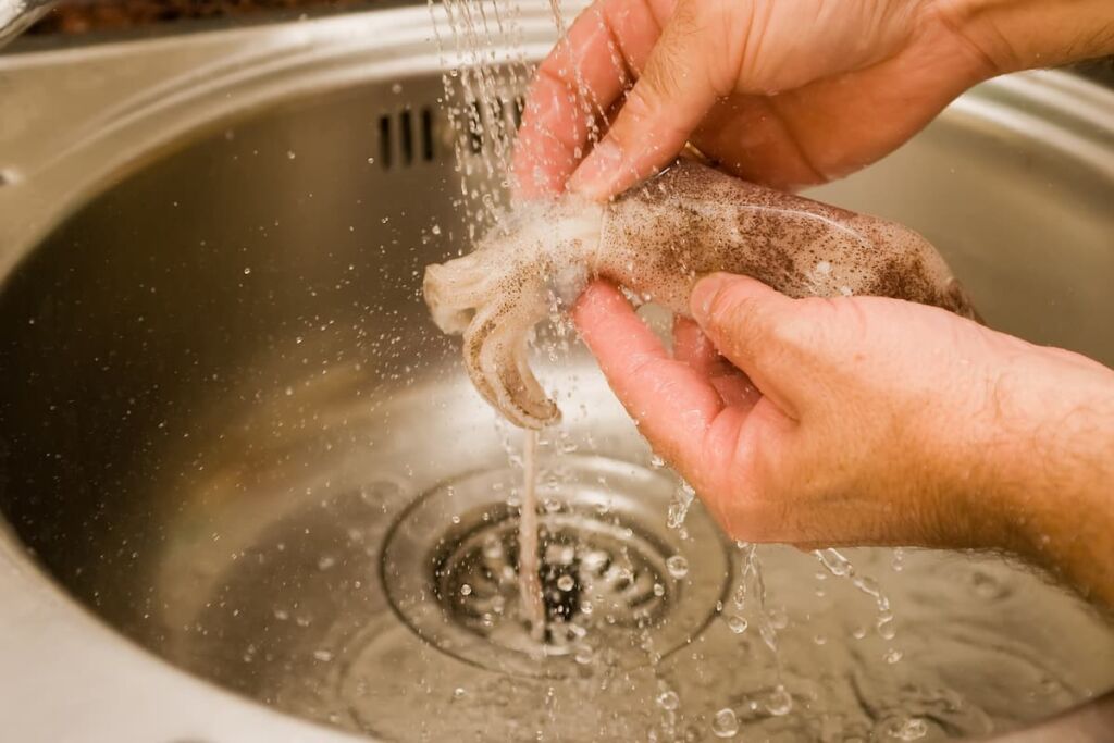 غسل الكلمار بالماء جيدا خطوة مهمة لتعلم كيفية تنظيف الكلمار