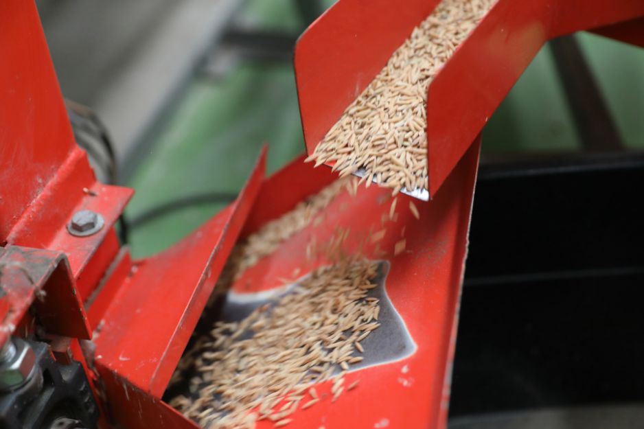 Solutions technologiques pour la récolte du riz