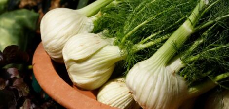 Fenouil: Bienfaits, Recettes et Astuces de Cuisine