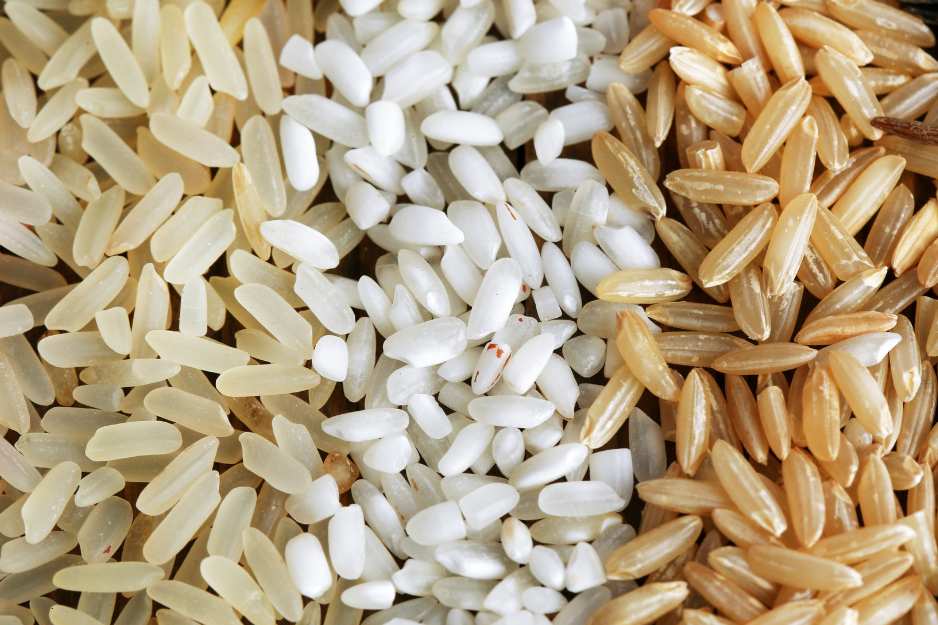 Comparaison entre riz blanc et riz brun