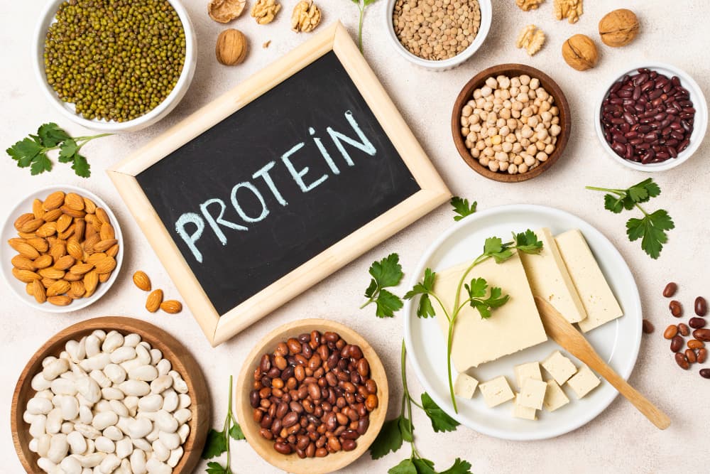 Différents aliments riches en protéines végétales