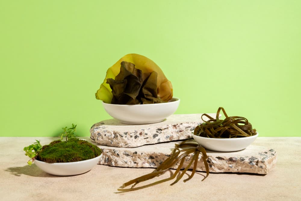 différentes algues tel que la spiruline pour leurs apports en protéines végétales