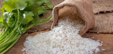 الكزبرة: خصائصها، فوائدها، استخداماتها، وقيمتها الغذائية