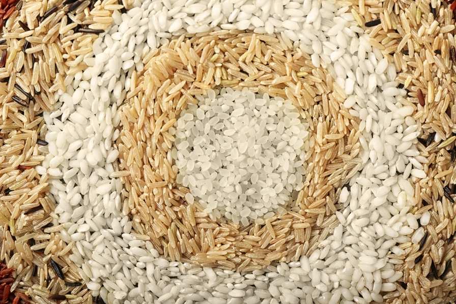 Types de riz – Découvrez les variétés les plus délicieuses
