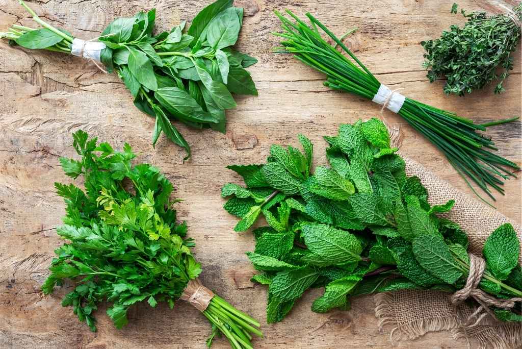صورة من الأعلى لحزم من الأعشاب الطازجة (ريحان، بقدونس، نعناع، وثوم معمر) موضوعة على طاولة خشبية.