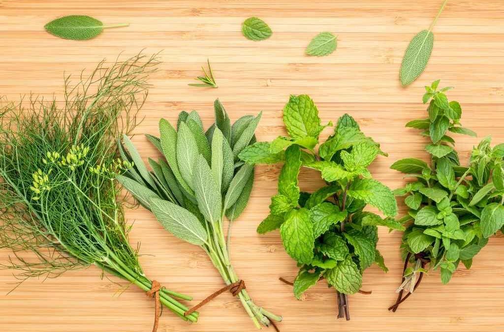 اكتشفوا 20 نوعا من الأعشاب العطرية التي ستحدث ثورة في مطبخكم