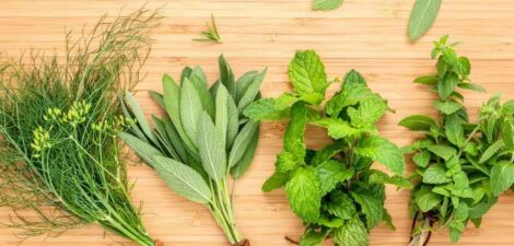 20 نوعًا من الأعشاب العطرية ستحدث ثورة في مطبخكم