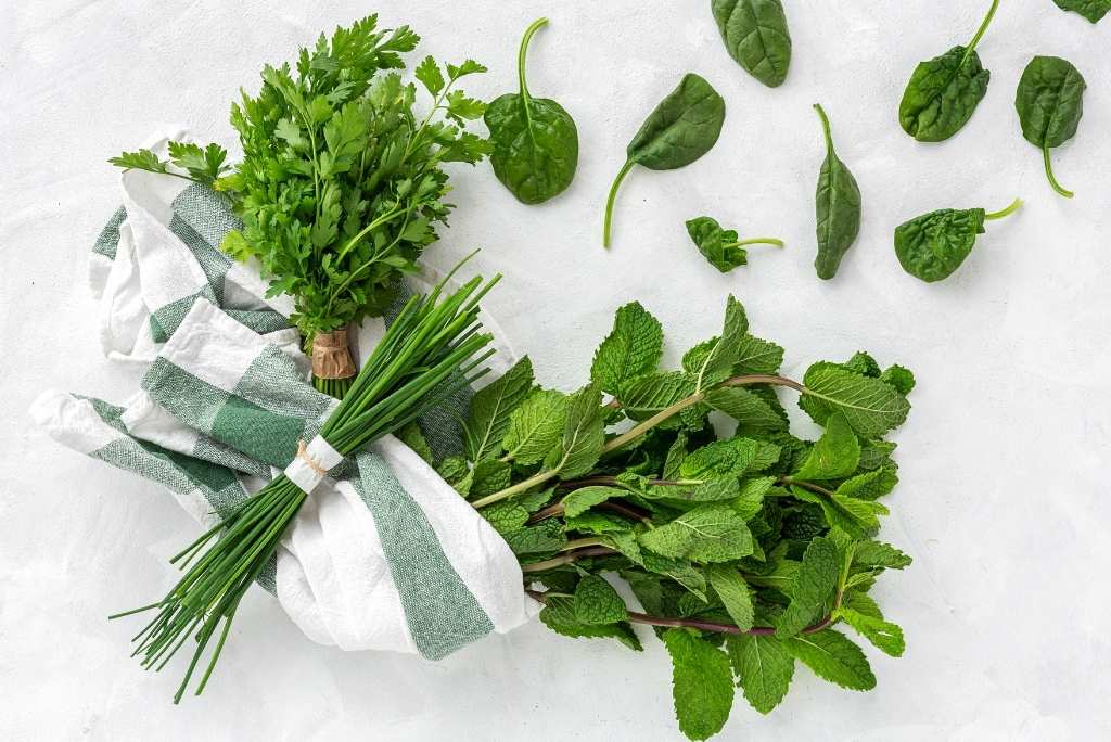 صورة من الأعلى لأعشاب عطرية (بقدونس، ثوم معمر ونعناع) وأوراق سبانخ على خلفية بيضاء.