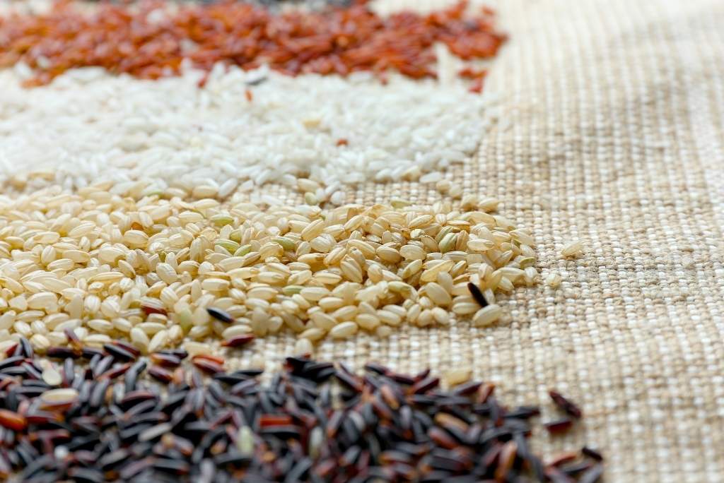 Diverses variétés : blanc, complet, noir, rouge, etc. Une présentation de différentes variétés de riz (rouge, blanc, complet et noir) disposées en rangées sur une nappe en lin texturée.