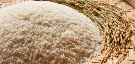 Le riz contient du gluten: Découvrez la vérité